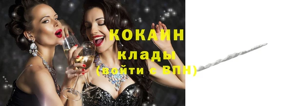 прущие грибы Белокуриха