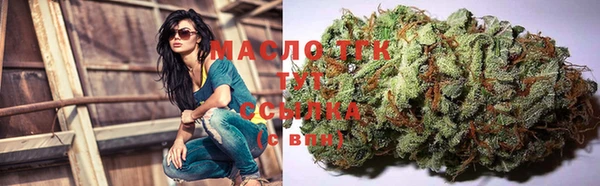 прущие грибы Белокуриха