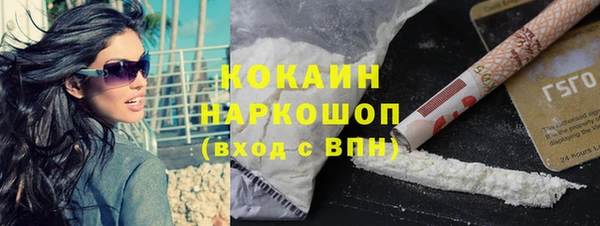 прущие грибы Белокуриха