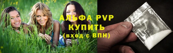 прущие грибы Белокуриха