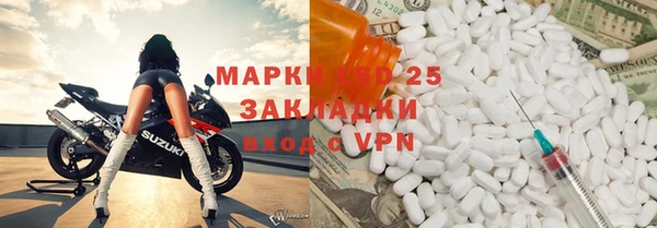 прущие грибы Белокуриха