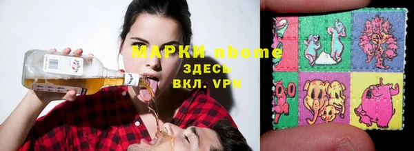 прущие грибы Белокуриха