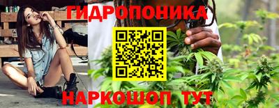мдма Бердск