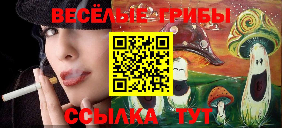 Великий Устюг  Псилоцибиновые грибы GOLDEN TEACHER  Вход с VPN  Галлюциногенные грибы GOLDEN TEACHER 