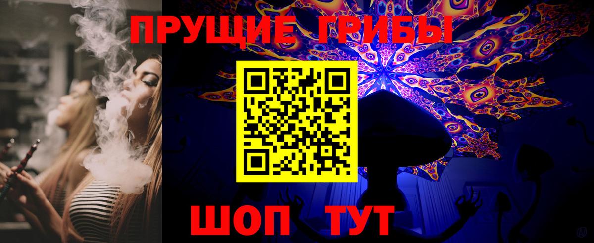Псилоцибиновые грибы прущие грибы Великий Устюг