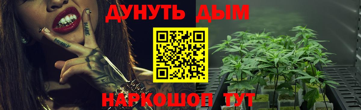 Бошки марихуана SATIVA & INDICA Великий Устюг